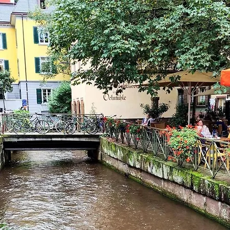 Vogelglueck - Erholung Und Wellness Mit Pool Apartament