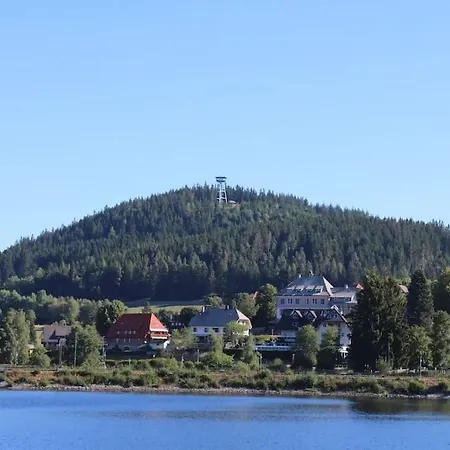 Vogelglueck - Erholung Und Wellness Mit Pool Apartament Schluchsee