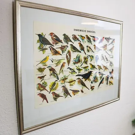 Apartament Vogelglueck - Erholung Und Wellness Mit Pool Schluchsee
