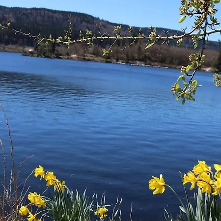 Vogelglueck - Erholung Und Wellness Mit Pool Schluchsee