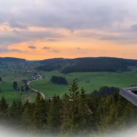 Vogelglueck - Erholung Und Wellness Mit Pool * Schluchsee